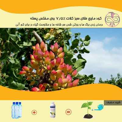 کود مایع طلای سبز کلات 7/5% روی مختص پسته