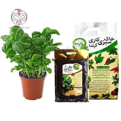 خاک سبزی کاری ارگانیک گیلدا