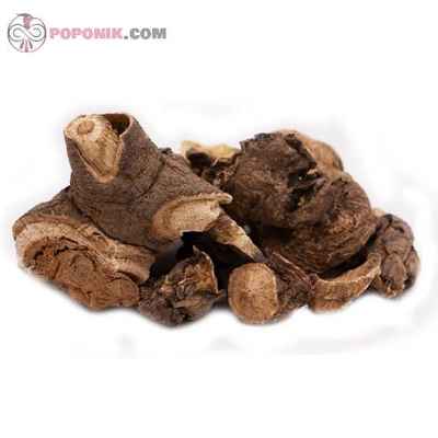 بهمن سرخ