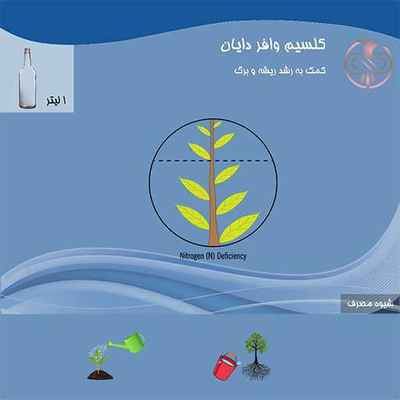 کلسیم وافر 19-10 دایان