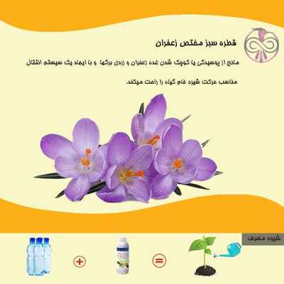 کود قطره سبز مختص زعفران