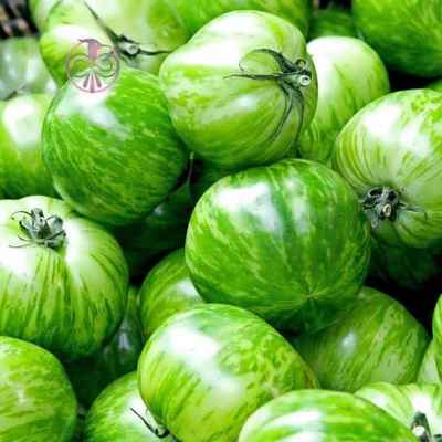 بذر گوجه فرنگی سبز زبرا